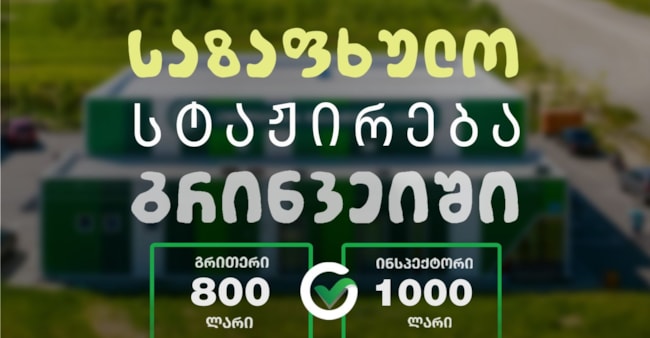 გრინვეიში ანაზღაურებადი საზაფხულო სტაჟირება იწყება